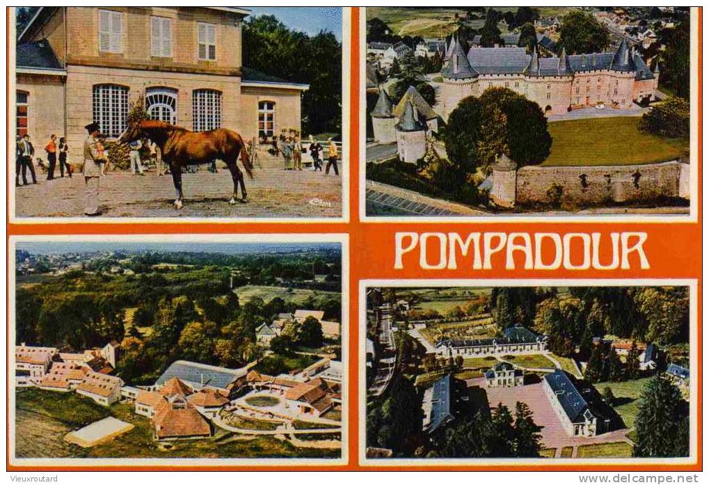 CPSM.HARAS DE POMPADOUR.PRESENTATION D´ETALON. LE CHATEAU . LE CLUB MEDITERRANEE. LE PUY MARMONT. - Arnac Pompadour