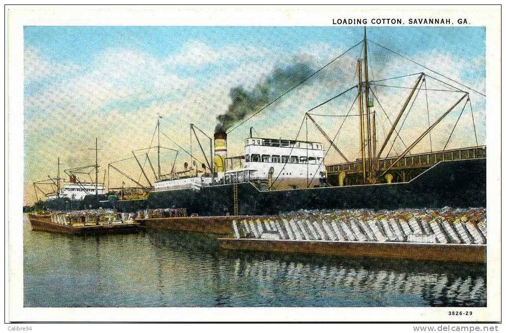 ETATS UNIS SAVANNAH Loading Cotton (Editeur Savannah News) - Savannah