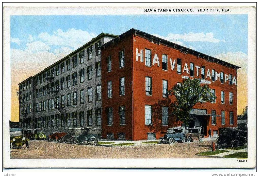 ETATS UNIS TAMPA HAV . A .TAMPA CIGAR CO YBOR City (Editeur Asheville Post Card) - Tampa