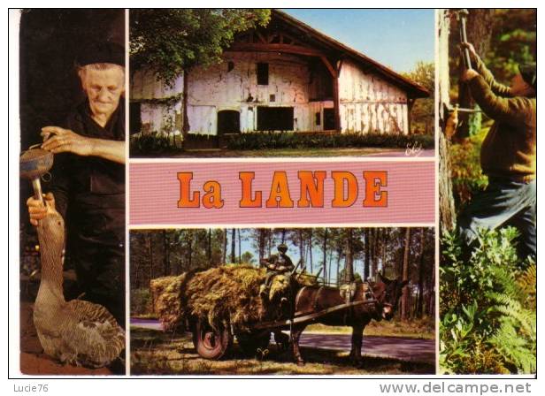 LA LANDE -  4 Vues -  La Vieille Ferme - L´Attelage De Mule - N° 3365 - Aquitaine