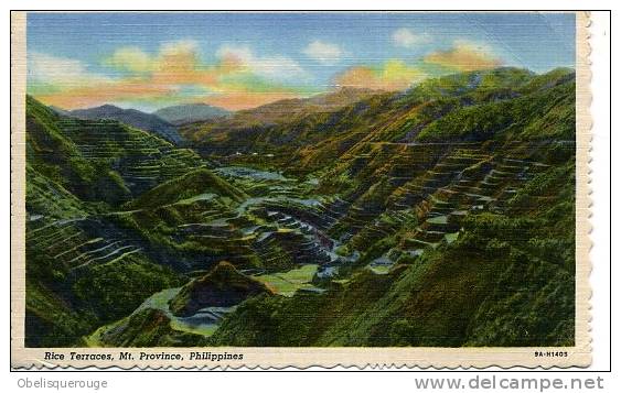 RICE TERRACES MT PROVINCE PHILIPPINES  1959 DENTELEE - Philippines