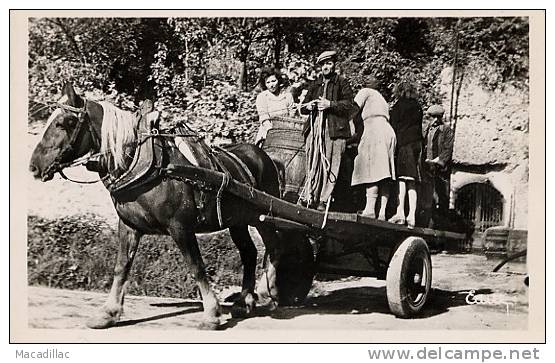 E 188 - CPSM - Vendanges En Touraine, Départ Pour Les Vignes, Attelage Très Gros Plan Carte Photo - Equipaggiamenti