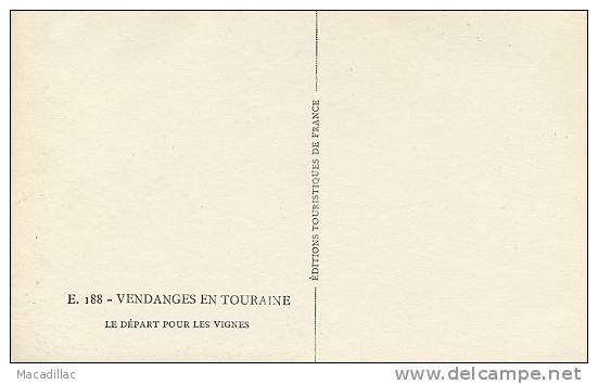 E 188 - CPSM - Vendanges En Touraine, Départ Pour Les Vignes, Attelage Très Gros Plan Carte Photo - Equipaggiamenti