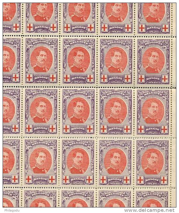 Double Panneau Du 134A ** Postfris     20c Dentelé 12  ++  Cote 12500 Euros - 1914-1915 Croix-Rouge