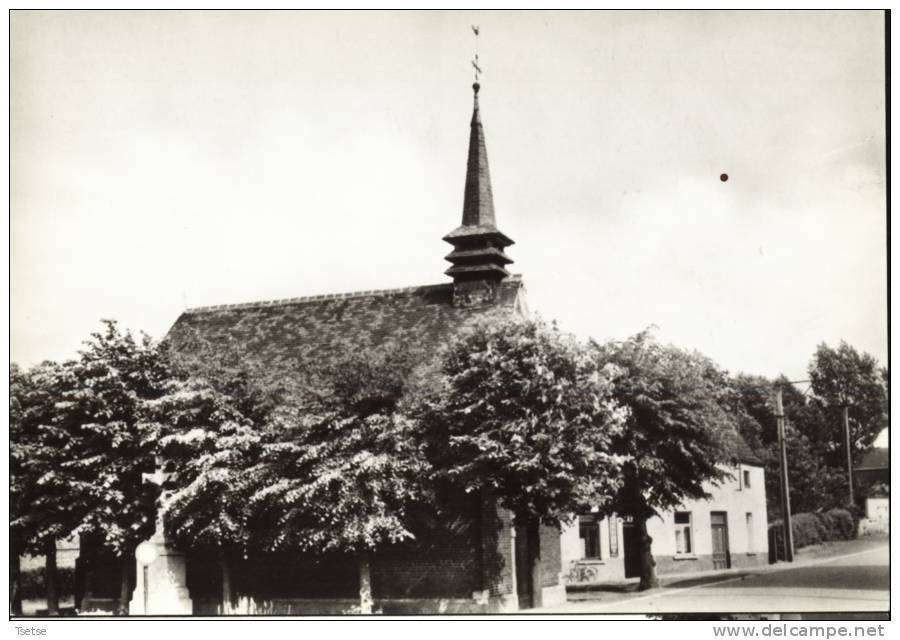 Erembodegem - Kapel Ter Muren - Aalst