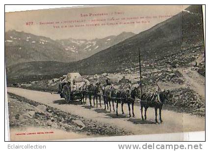 L'HOSPITALET (environs) ..Attelage  .Catalan Au Col De Puymorens - Otros & Sin Clasificación