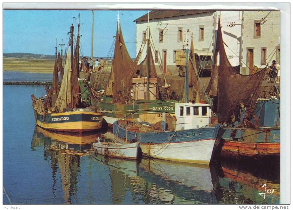 SUPERBE CPM..LE CROISIC..ANIMEE..BELLE VUE DE BATEAUX DE PECHE DEVANT LA CRIEE.. - Le Croisic