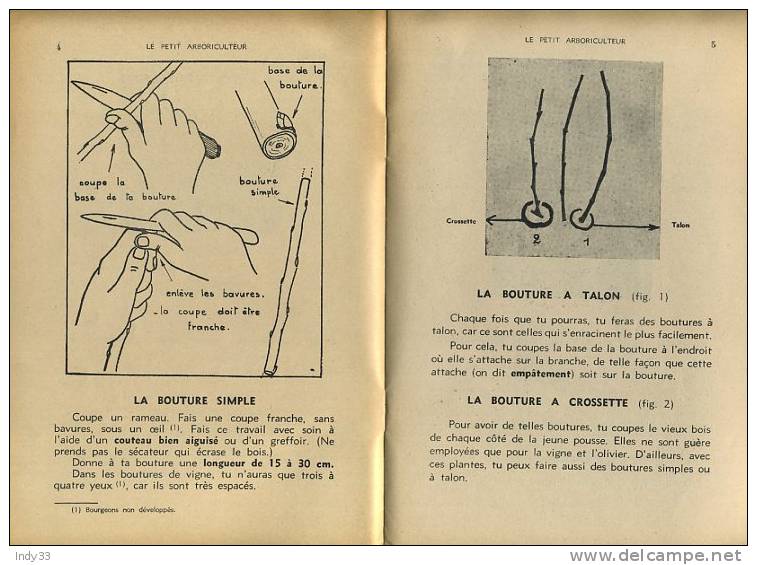 - LE PETIT ARBORICULTEUR I . BIBLIOTHEQUE DE TRAVAIL N°175 DEC. 1951 - Jardinería