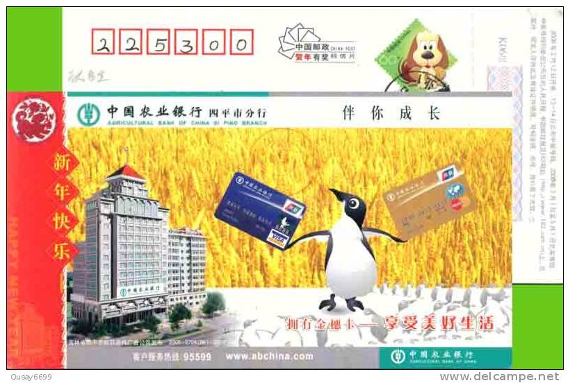 Pre-stamped Postcard, Bird Pinguins  Bankcard - Pinguine