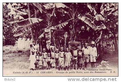 Conakry   Groupe De Petits Noirs Sous Des Bananiers - Guinea Francese