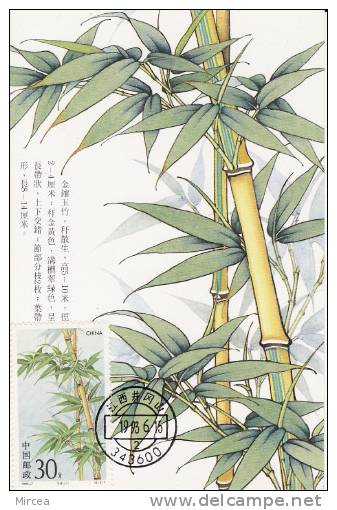 3898  - Arbres Carte Maximum Chine 1993 - Maximumkaarten