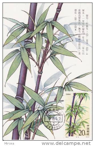 3896  - Arbres Carte Maximum Chine 1993 - Cartes-maximum