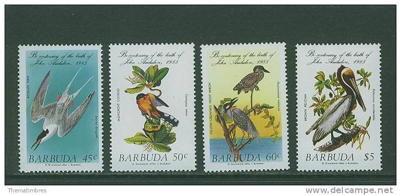 K0149 Audubon Sterne Pelican Echassier 741 à 744 Barbuda 1985 Neuf ** - Collections, Lots & Series