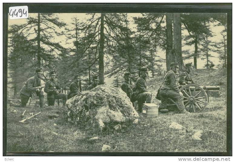 GEBIRSARTILLERIE - ARTILLERIE DE MONTAGNE - TTB - Mon