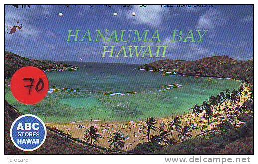 Télécarte Japonaise HAWAII Related (70) - Hawaï