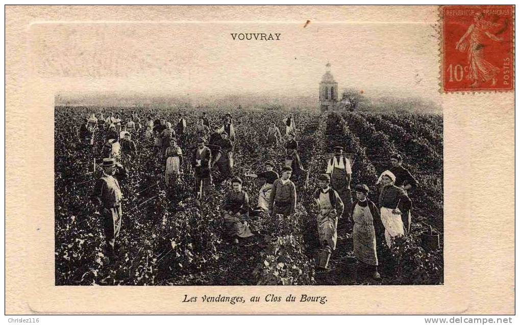 37 VOUVRAY Les Vendanges Au Clos Du Bourg  TOP  1917 - Vouvray