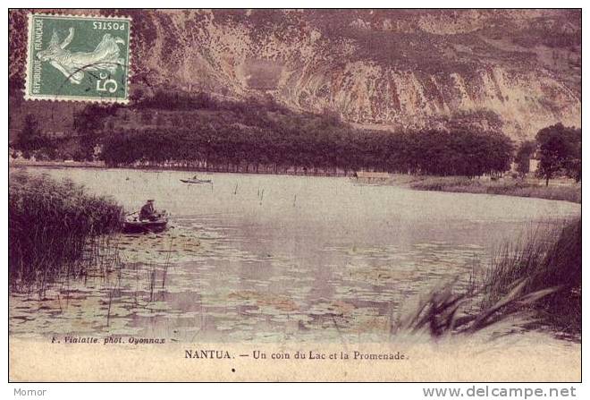 NANTUA Un Coin Du Lac Et La Promenade - Nantua