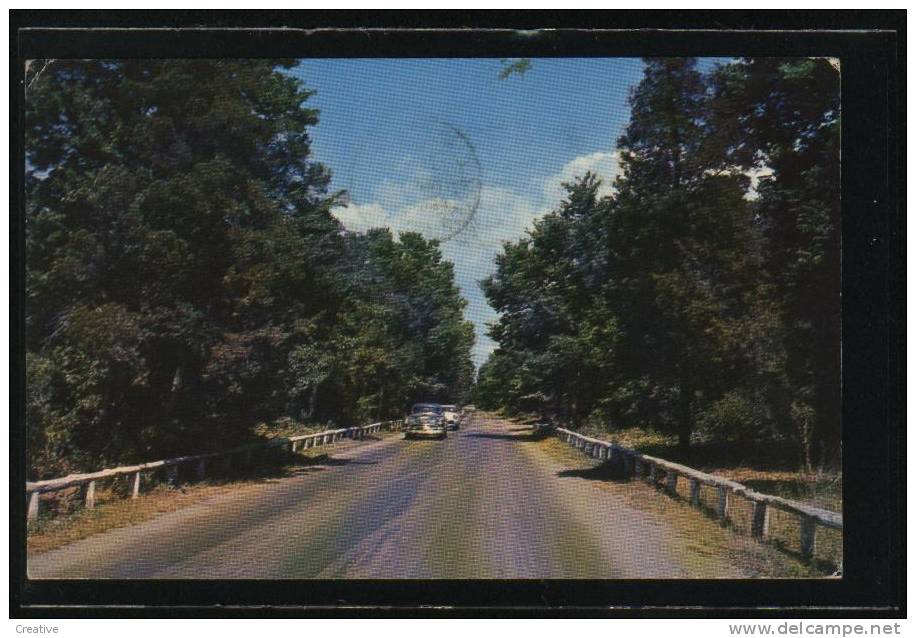 THE DRIVE  ,POINT PELEE NATIONAL PARK  LEAMINGTON,ONTARIO,CANADA 1965 - Autres & Non Classés