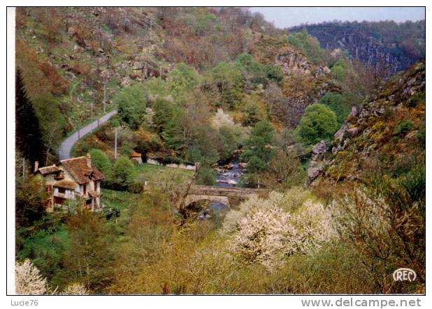 CROZANT - La Villa  " LA SEDELLE " Sur La Vallée De La SEDELLE  - N° 1025 - Crozant