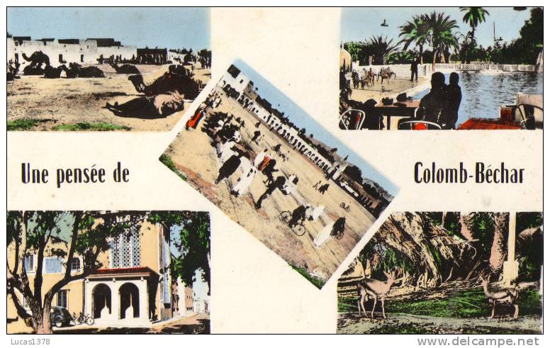 UNE PENSEE DE COLOMB BECHAR / CPSM 1959 - Bechar (Colomb Béchar)