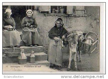 AUVERGNE..Vendeuse De... Lait - Auvergne