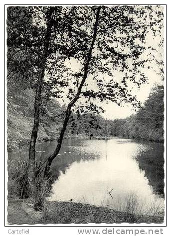 Pulderbos: St. Jozefpreventorium, Wandelingen - Zandhoven