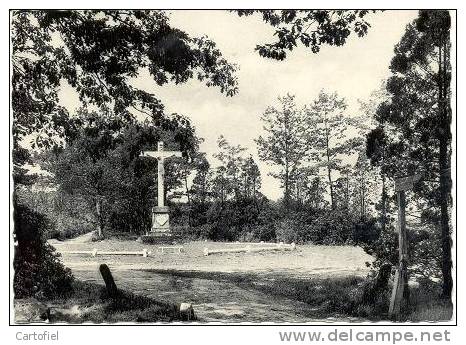 Pulderbos: St. Jozefpreventorium, Wandelingen - Zandhoven