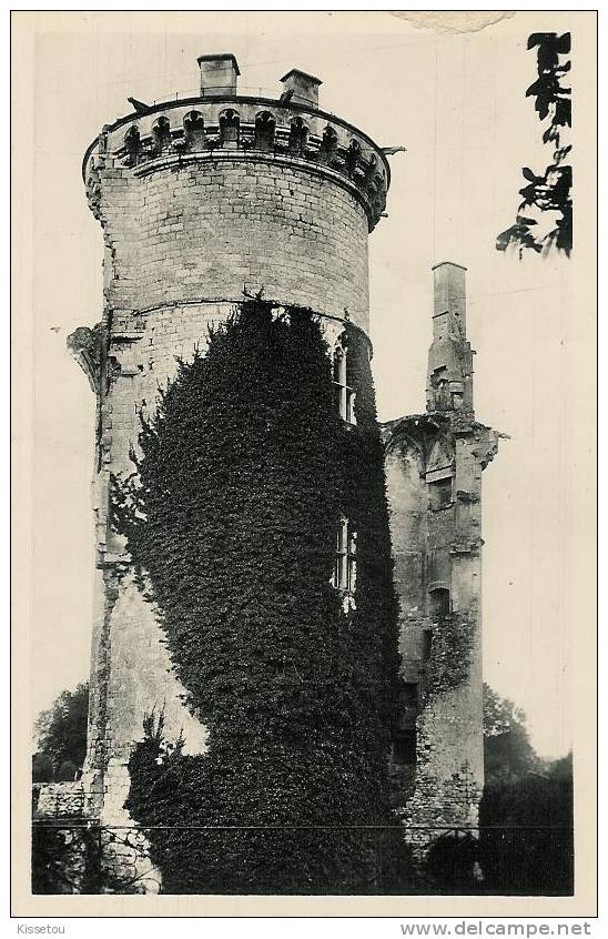 Vieilles Tours Du Chateau - Mehun-sur-Yèvre