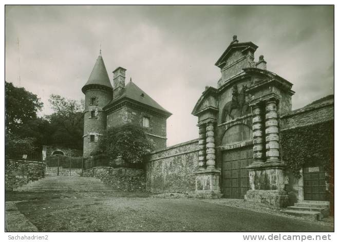 38. Cpsm. VIZILLE. Le Château, Entrée. 001 - Vizille