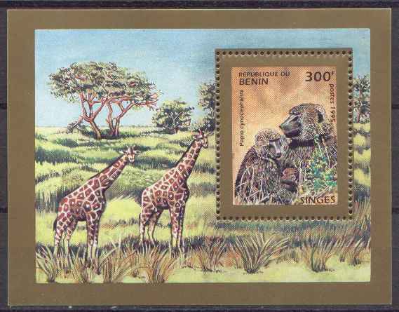 Benin Mammifères Singe N° BF  29 C ** Animaux, Faune -> Singe, Le Papio Cynocephalus, + Girafes - Apen