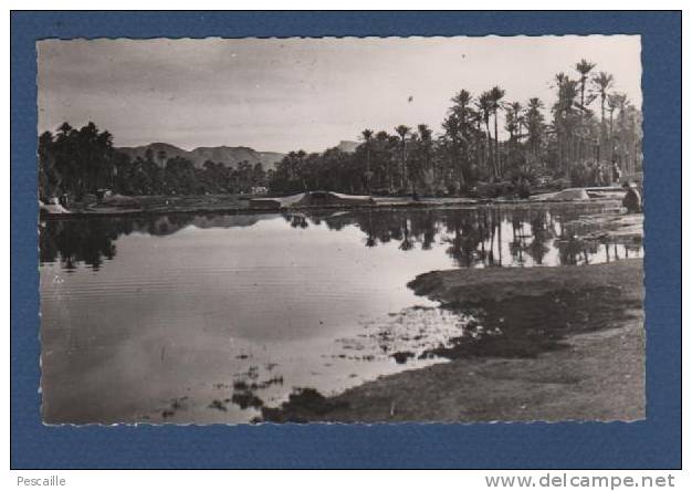 CP COLOMB BECHAR - LE BARRAGE SUR L'OUED - Bechar (Colomb Béchar)