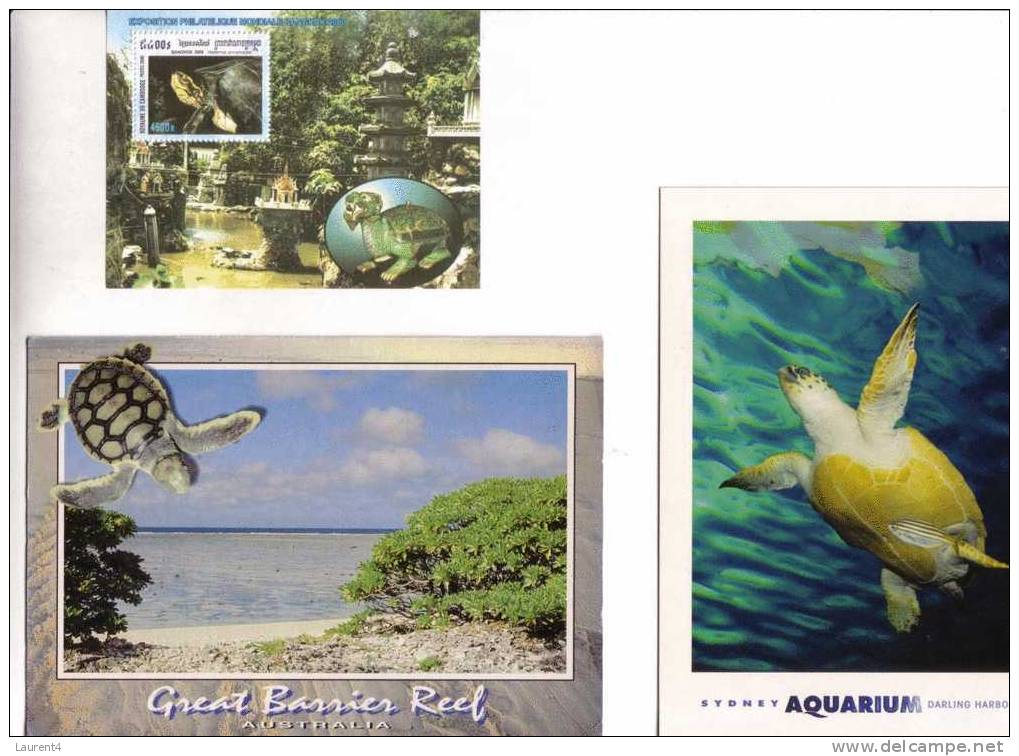 4 Postcard On Tortoise + Stamps - 4 Carte De Tortue + Timbre - Tortues
