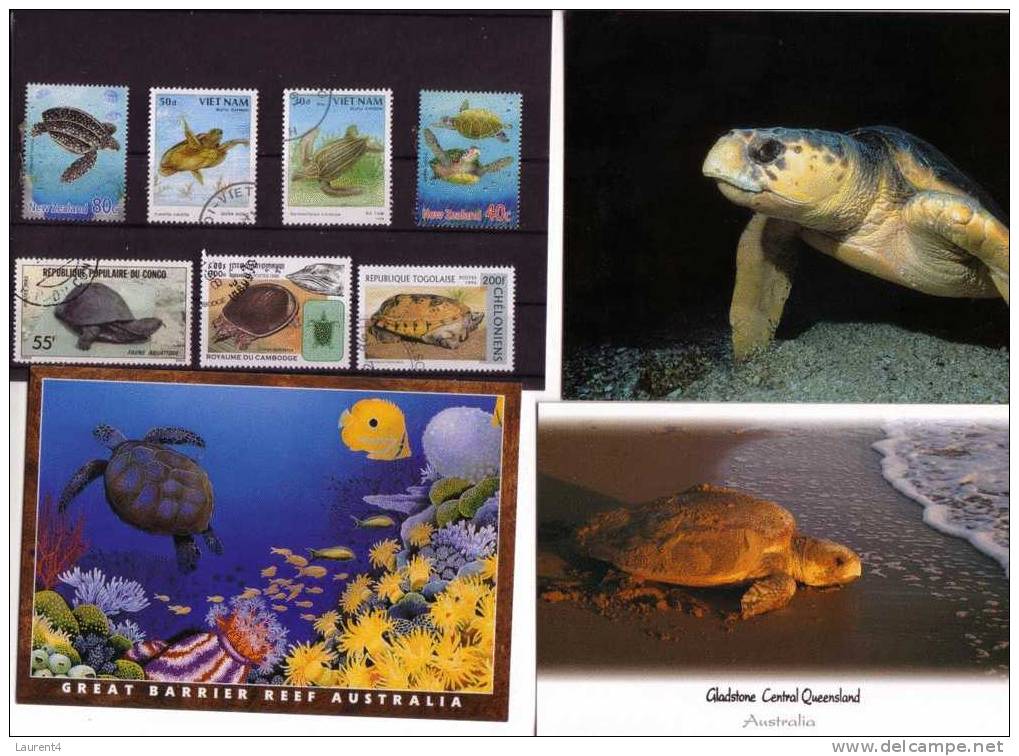 3 Postcard On Tortoise + Stamps - 3 Carte De Tortue + Timbre - Tortues