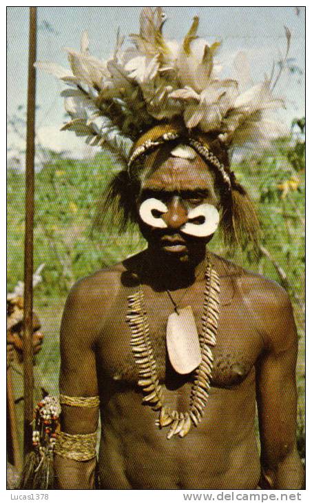 ASMAT MALE IN FESTIVE ATTIRE / HOMME ASMAT EN TENUE DE FETE - Indonesië