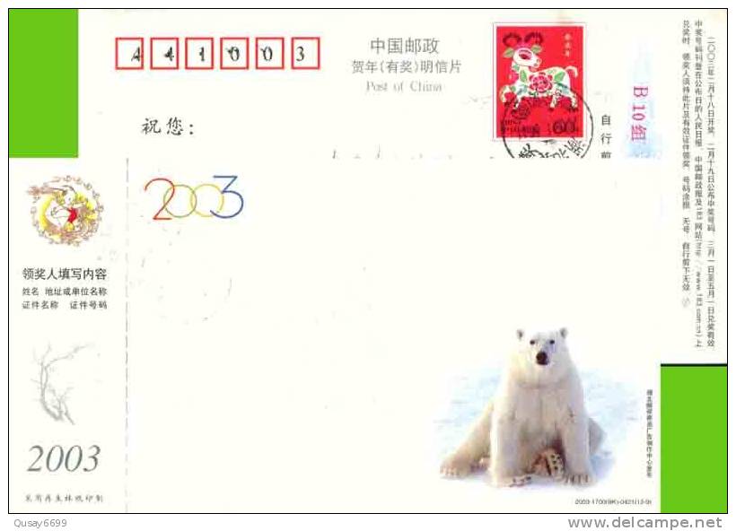 Pre-stamped Postcard, Postal Stationery ,polar Bear - Bären