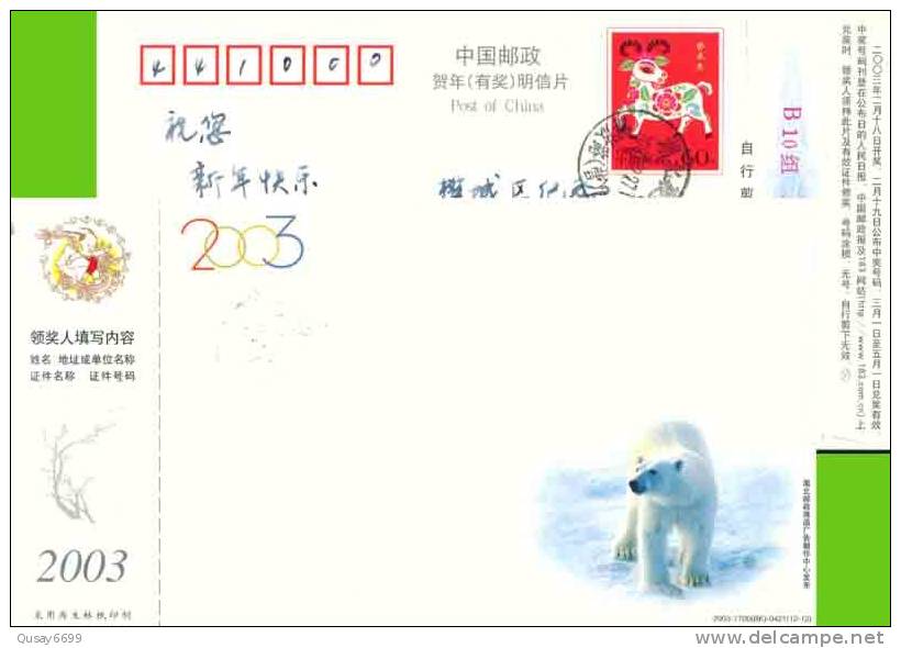 Pre-stamped Postcard, Postal Stationery ,polar Bear - Bären
