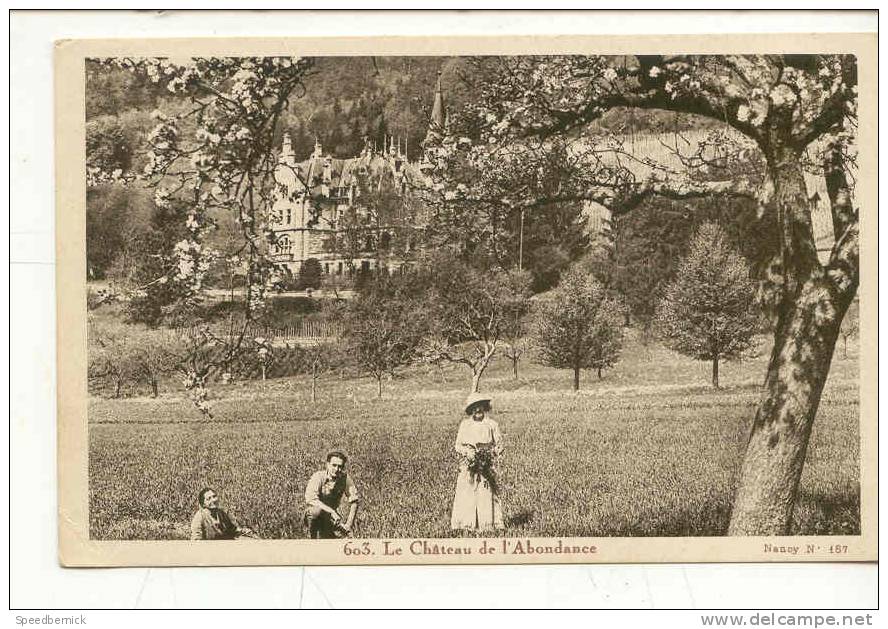 8037 GENEVE. CHATEAU DE CARTIGNY. LA DEMEURE DE LA PAIX ET DE LA JOIE .abondance603 - Cartigny