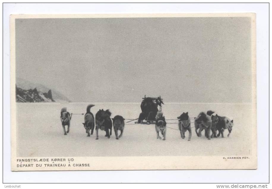 GROENLAND/ Départ Du Traîneau à Chasse. (attelage De Chiens) - Groenlandia