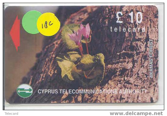 Télécarte CYPRUS (18CYPC) Phonecard - Chipre