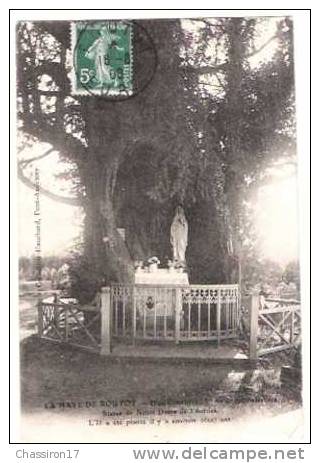 27 - LA HAYE DE ROUTOT  - If Au Cimetière : 5,80mde Circonférence, Planté Il Y A Environ 1600ans - Statue De ND Lourdes - Routot