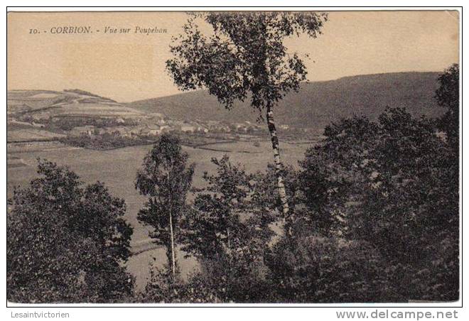 CORBION VUE DE POUPEHAN - Vresse-sur-Semois