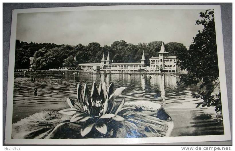 Hungary,Heviz,Gyogyfurdo,Beach,Strand,Restaurant,Original Photo,vintage Postcard - Ungheria