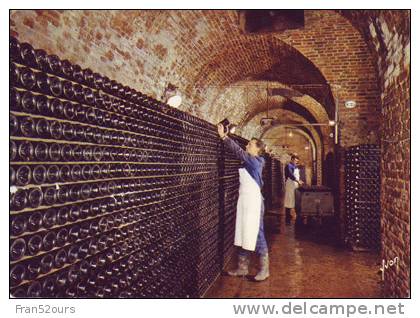 Champagne Perrier-Jouët Epernay Stockage Des Bouteilles Sur Lattes Vin Vigne Viticulture - Landwirtschaftl. Anbau