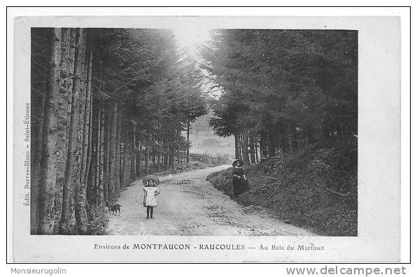 43 )) Environs De MONTFAUCON, RAUCOULES, Au Bois Du Martinet, ANIMEE - Montfaucon En Velay