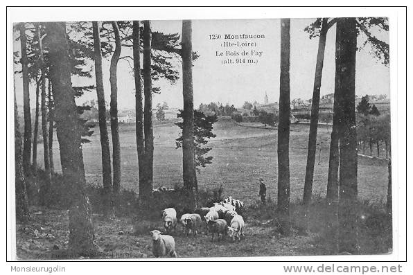 43 )) MONTFAUCON, Le Bois De Fay, N° 1250 / Animée (+ Troupeau) - Montfaucon En Velay