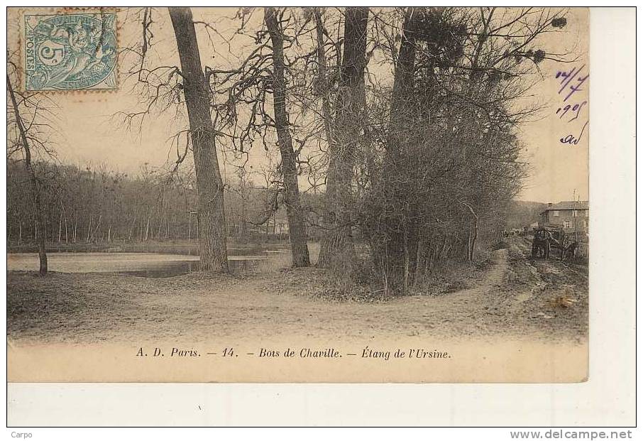 CHAVILLE - Bois De Chaville - étang De L´ursine. - Chaville