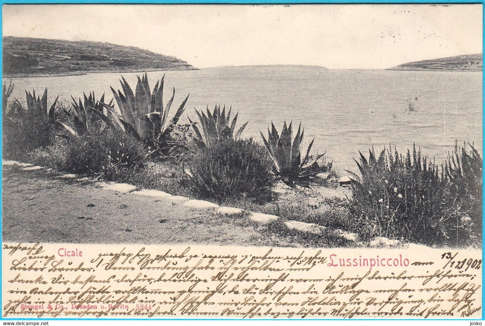 LUSSINPICCOLO (Mali Losinj) - Cigale ... Istria (Croatia) * Travelled 1902 To Neunkirchen * Croazia Kroatien Croatie - Croatia