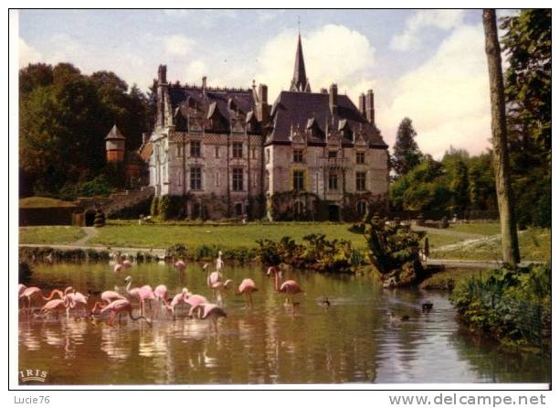 CLERES -  Parc Zoologique  -  Le Parc Et Les Flamants Roses - Clères