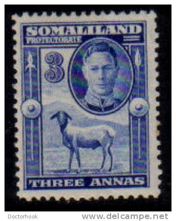 SOMALILAND PROTECTORATE   Scott: #  99*  VF MINT LH - Somaliland (Protettorato ...-1959)