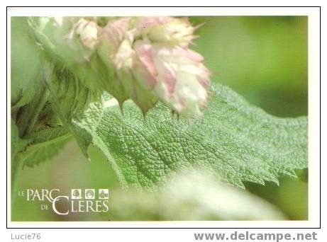 CLERES - PARC   ANIMALIER -   Fleurs - Clères